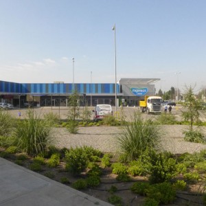 141_lidercolina1
