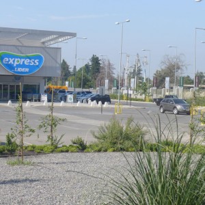 141_lidercolina8